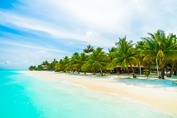 maldives_island (1) image 91
